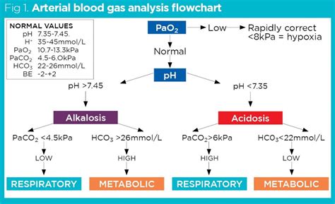 血液氣體分析目的|Arterial blood gas analysis 動脈血液氣體分析